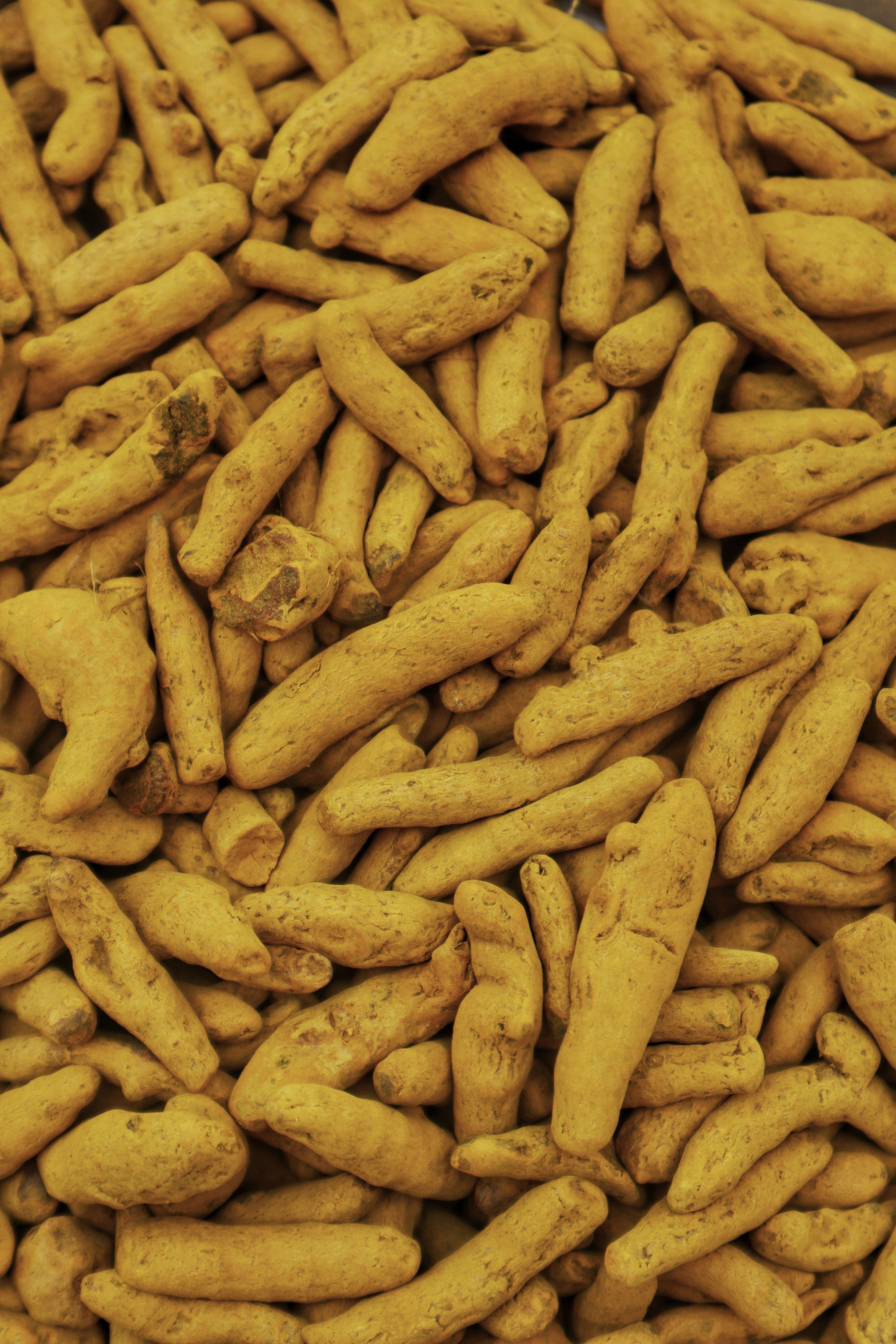 Turmeric (Dried Whole)